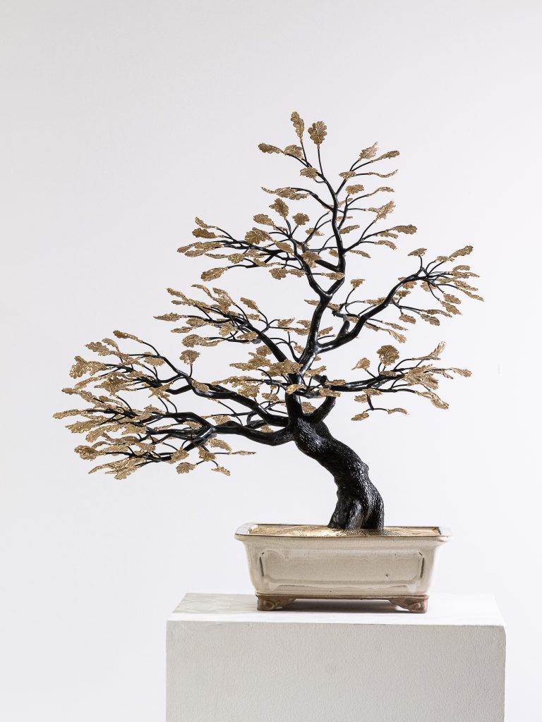 Bonsai Tree