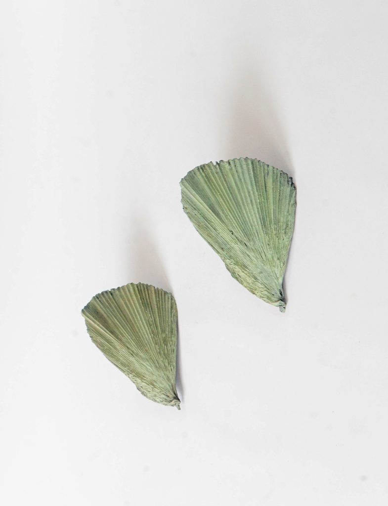 &lsquo;Fan&rsquo; Sconces (green)